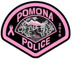 pomona police pink ribbon button